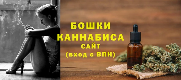 экстази Бородино
