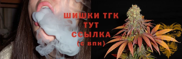 экстази Бородино