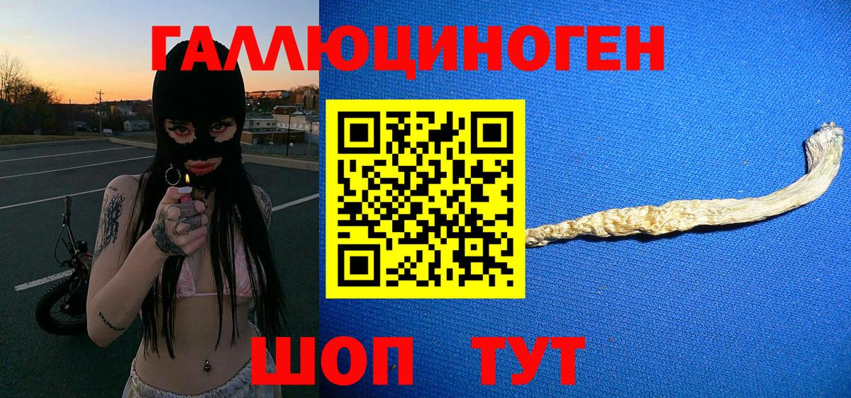 Галлюциногенные грибы Cubensis  Вход с VPN  Медногорск 