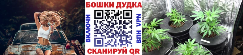 Канабис SATIVA & INDICA  купить наркоту  Медногорск 